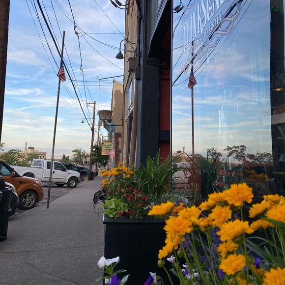 Meet your Posher, Elva - Picture 1 of 1